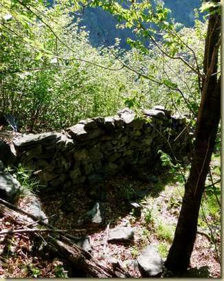 i ruderi dell'Alpe Agalina