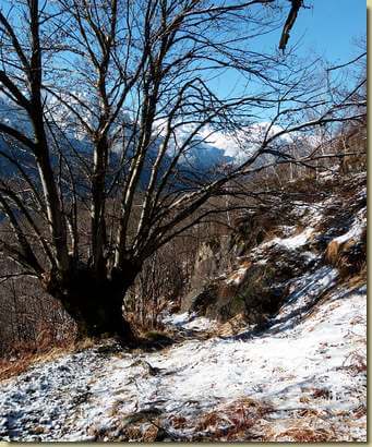 sul sentiero per Cornala...