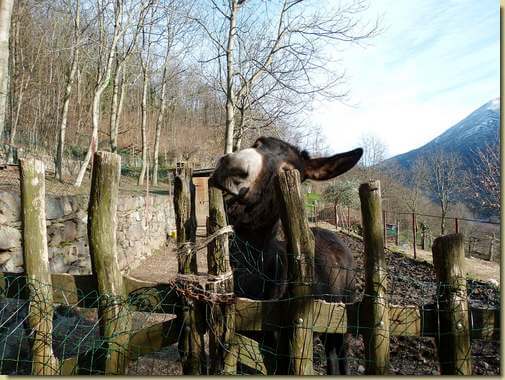 fame ?...
