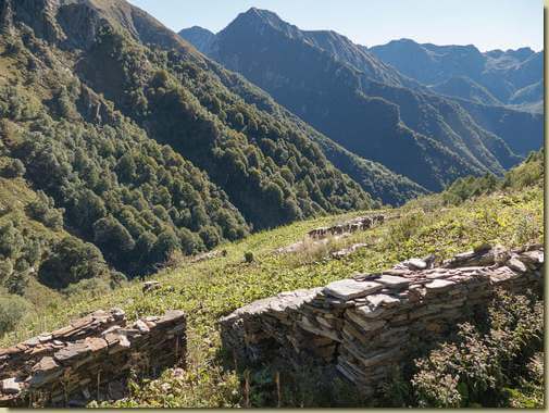 all'Alpe Biordo...
