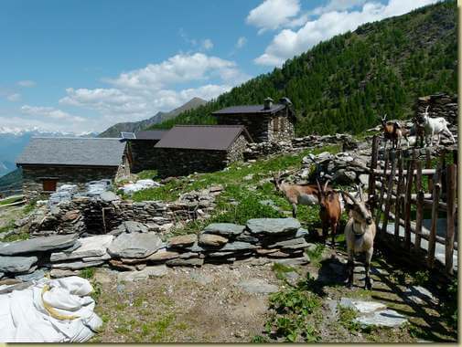all'Alpe Corte sopra...