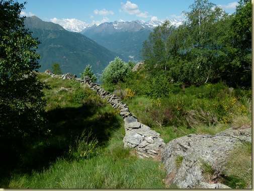 il caratteristico muretto dell'Alpe Sui...