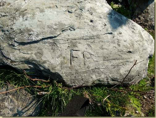 ...n