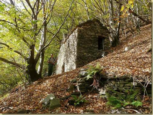 Alpe Catto... 