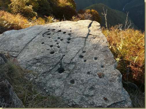 il masso coppellato dell'Alpe Pra