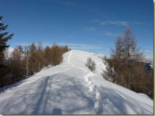 scendendo dal Monte Bassetta  