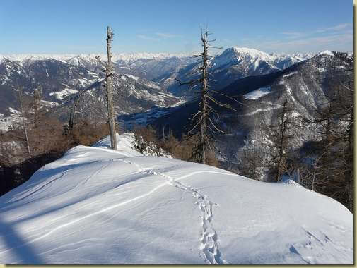 seguendo la traccia del camoscio... 