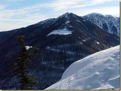 panorama verso La Cima e l'Alpe Cortino 