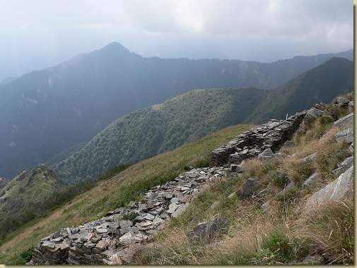 Alpe Muschia - sullo sfondo il Mottac, al centro la Costa Torriggia