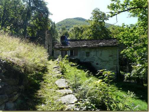 Surn&eacute; 
