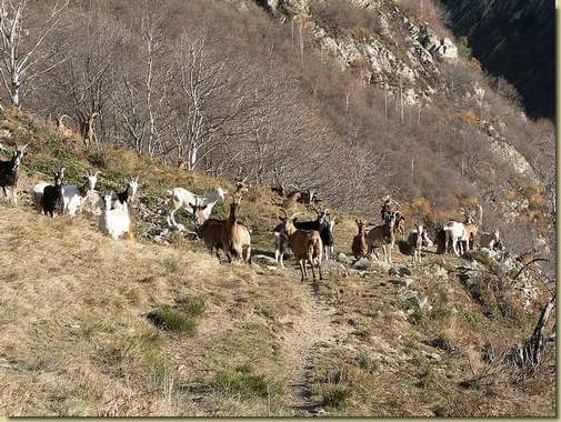 a Curt Lùar...