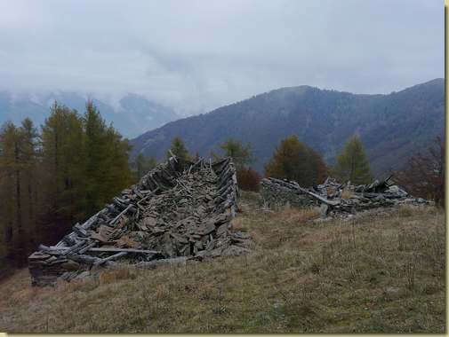 lo stallone di Cortevecchio...