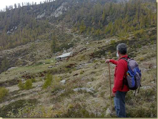 ritorno all'Alpe Cavalla