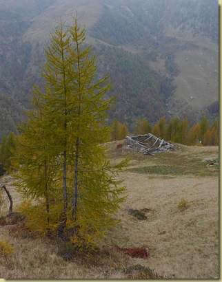 Alpe Moncucco