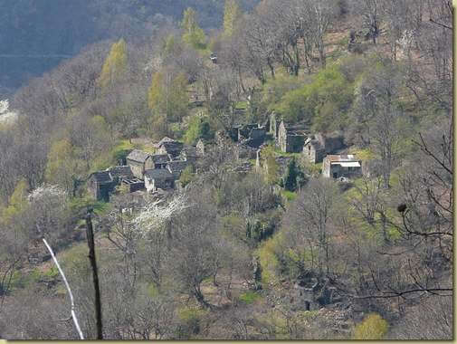 Miunchio...  [teleobiettivo] 