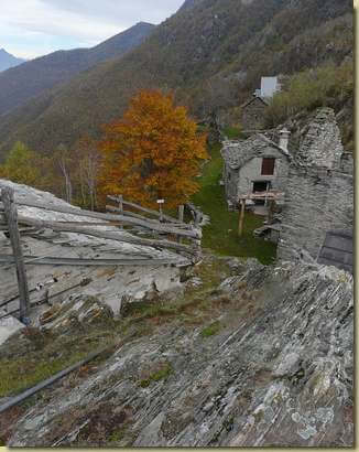 all'Alpe Marona 