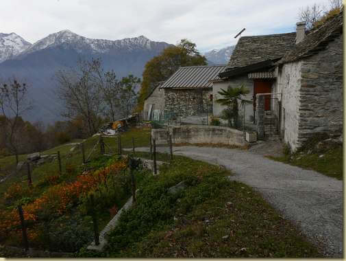 Capraga