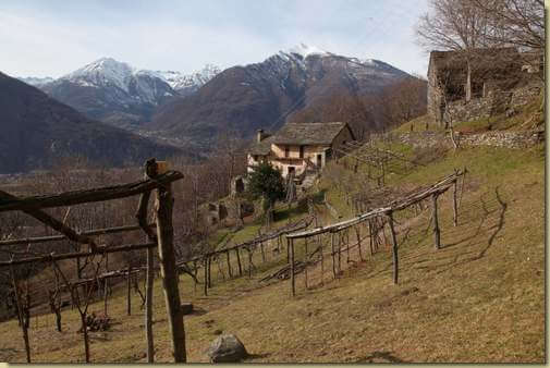 C&agrave; Pinauda