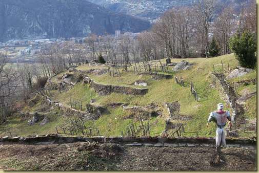 sentinella... 