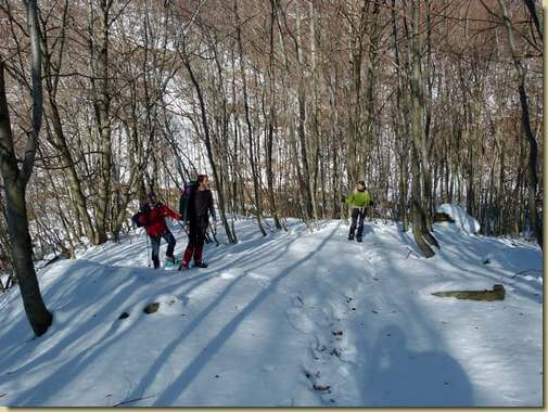 dispersi nel bosco...