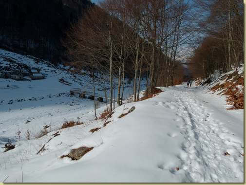 alle Cascine...