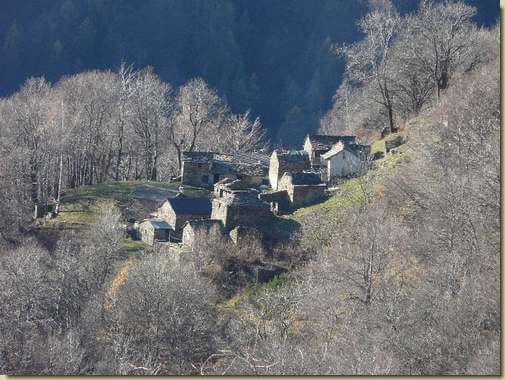 Steppio [teleobiettivo] 