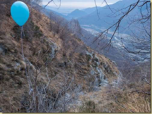 messaggio per Babbo Natale... (ma la plastica nei boschi non è una bella cosa...