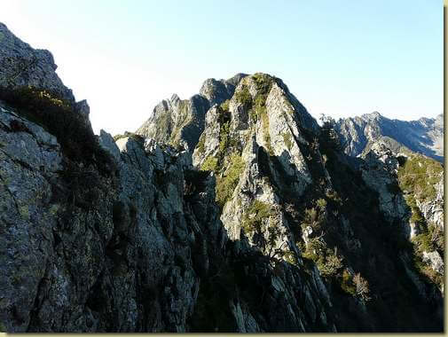 Cima Lidesh, sulla destra, in ombra, l'intaglio e il larice solitario dove si sale alla cima