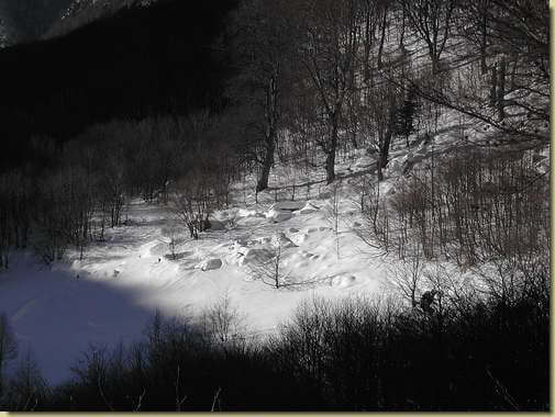 Alpe Boschelli  