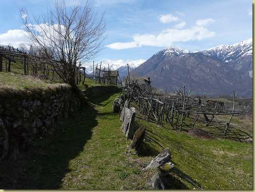 sulla vecchia mulattiera per Trontano 