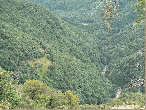 a sinistra il prato dell'Alpe Riazzoli - sul fondo, In la Piana 