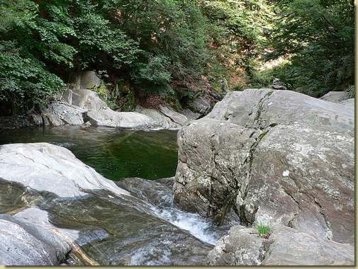 Rio Fiorina