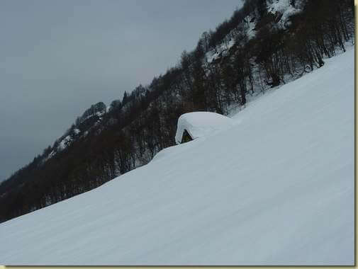 verso l'Alpe Campo...