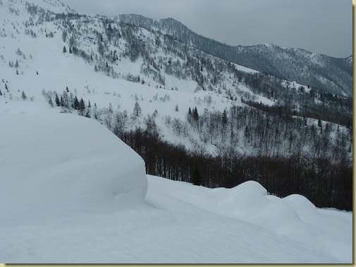 panorama dall'Alpe Campo...