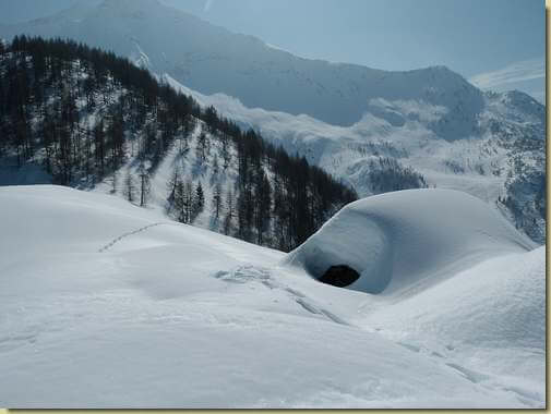 all'Alpe Noccola...  