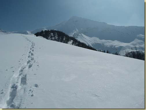 scendendo dal dosso dell'Alpe Noccola...
