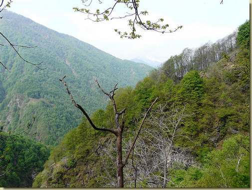 il costone dell'Alpe Flacera 