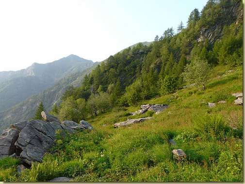 inizio della traversata dall'Alpe Ogliana 