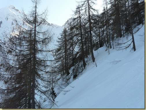 sul traverso per l'Alpe Fornale  