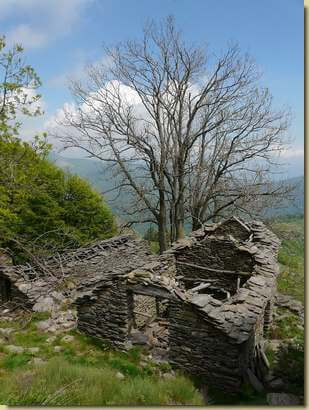 La Trecciura 