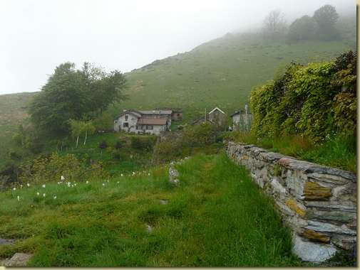 verso Sunfa&igrave; 