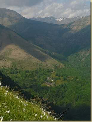 vista verso il Passo Folungo... 