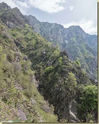 wilderness...