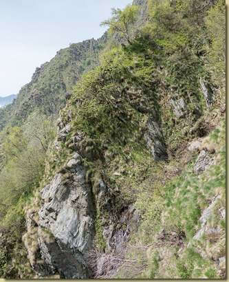 traverso...