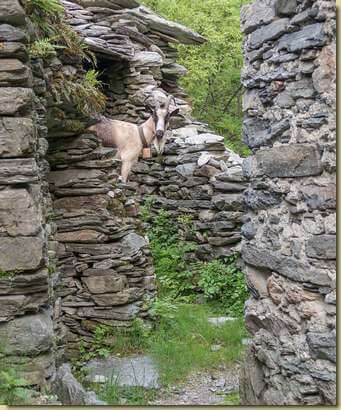 incontri a Sasso Termine...