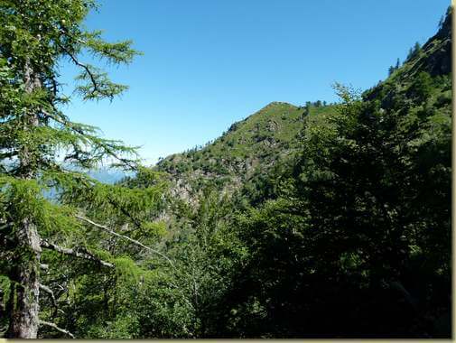 vista verso il Pizzo Colla Bassa...