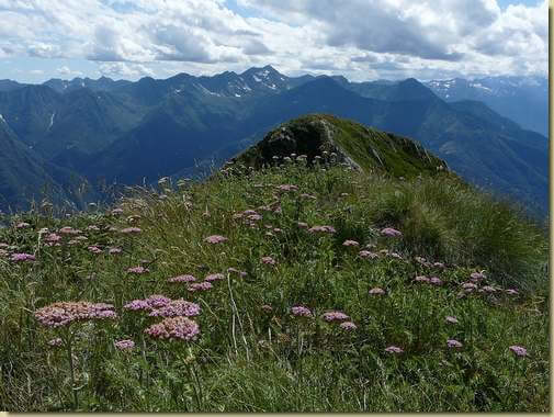 sul Pizz Lacina 