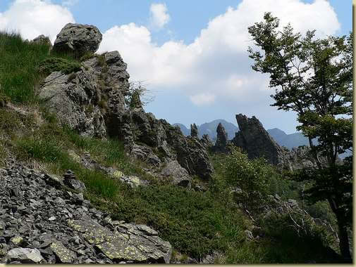verso Busarasca - al centro la "cresta di gallo" sopra l'Alpe...