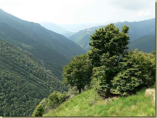 Val Pogallo, a sinistra la costa del Fatigòs e il prato dell'Alpe Aurà