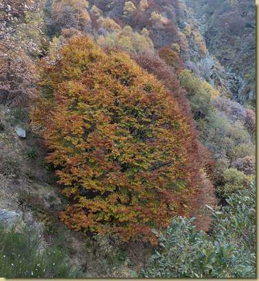 autunno...